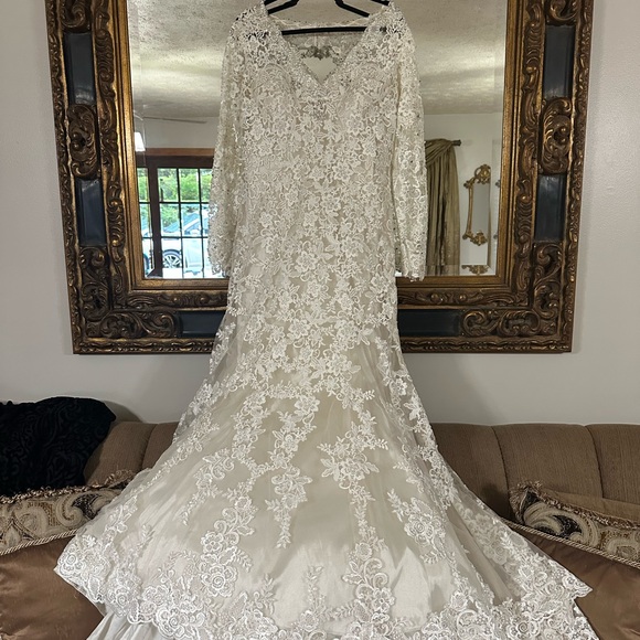 Elegant Lace Wedding Dress - Picture 1 of 10